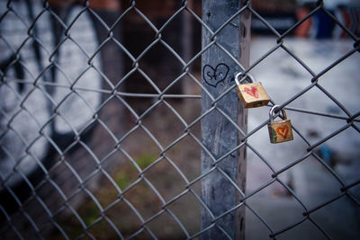 Love padlocks tied up of chainlink fence