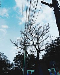 Low angle view of silhouette tree against sky