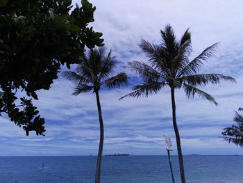 Low angle view of palm tree by sea against sky