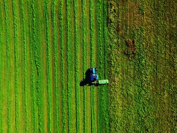 Drone shot of a green field