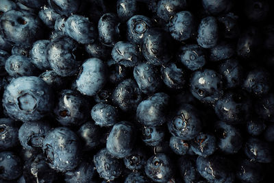 Full frame shot of blueberries