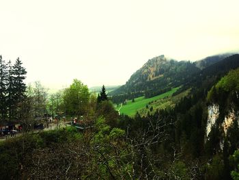 Scenic view of landscape against clear sky