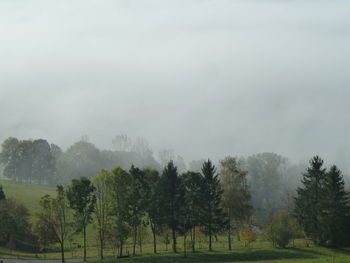 Trees on field against sky