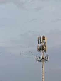 Low angle view of birds flying against sky