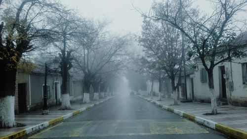 Street amidst trees and buildings against sky