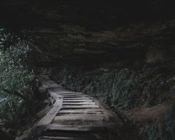 Empty footpath in forest