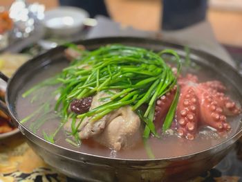 Close-up of korean chicken soup in bowl