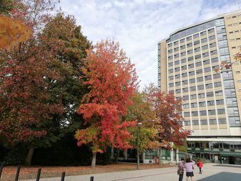 Trees by building against sky during autumn