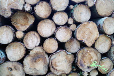 Full frame shot of stacked logs