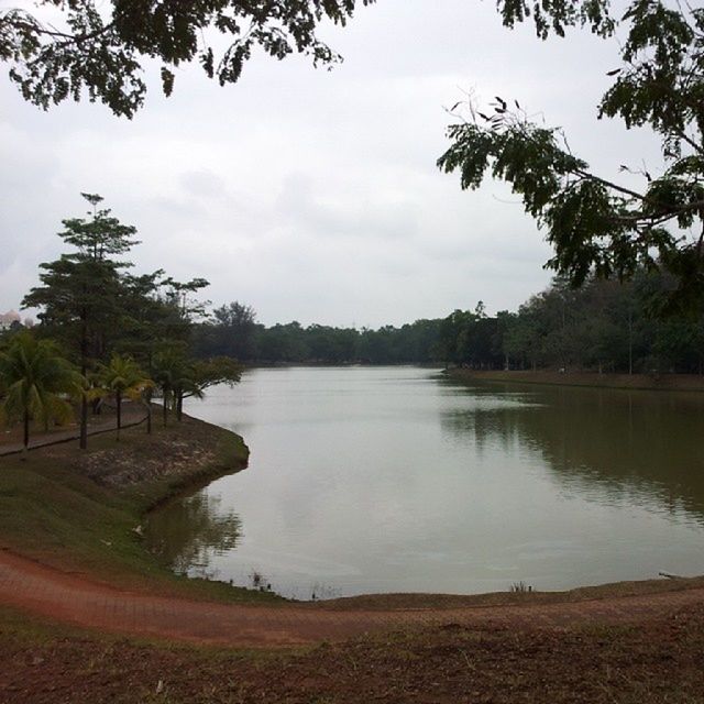 tree, water, sky, tranquility, tranquil scene, lake, scenics, beauty in nature, nature, cloud - sky, river, growth, reflection, cloud, idyllic, lakeshore, day, landscape, calm, grass