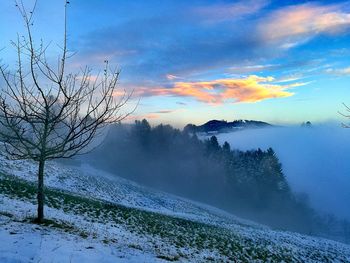 Scenic view of landscape against sky during winter