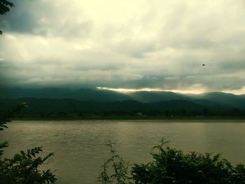 nature