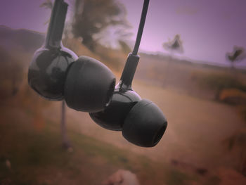 Close-up of swing hanging on tree