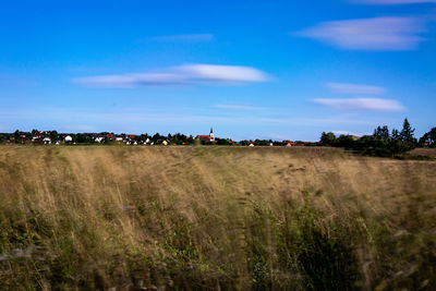 Scenic view of agricultural field against blue sky