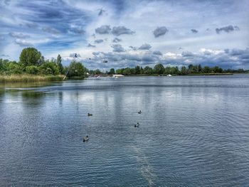 Swan swimming in lake against sky