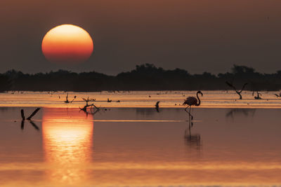 Sunrise at yucatan