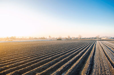 Winter farm field ready for new planting season. agriculture and agribusiness. preparatory 