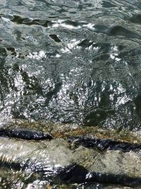 Full frame shot of water