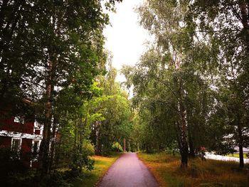 Road amidst trees against sky
