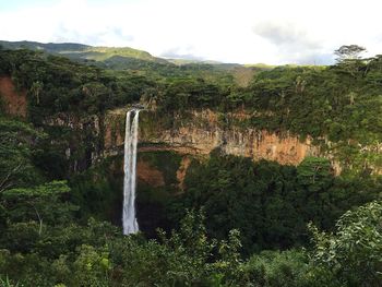 Scenic view of waterfall in forest