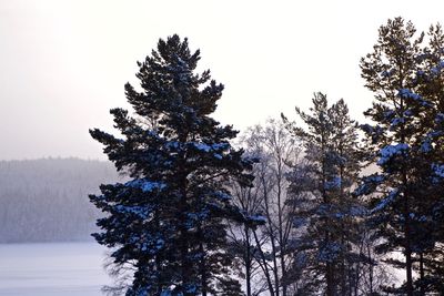 Scenic view of snow covered landscape against sky