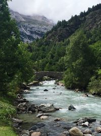 River flowing amidst rocks in forest