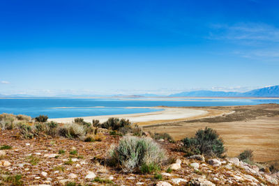 Scenic view of beach against blue sky