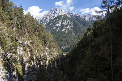 mountain