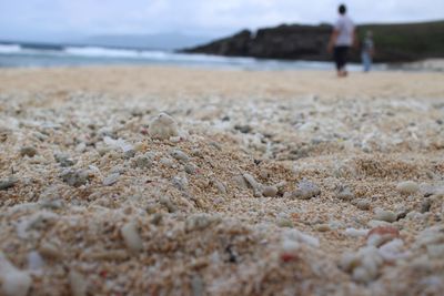 Scenic view of beach