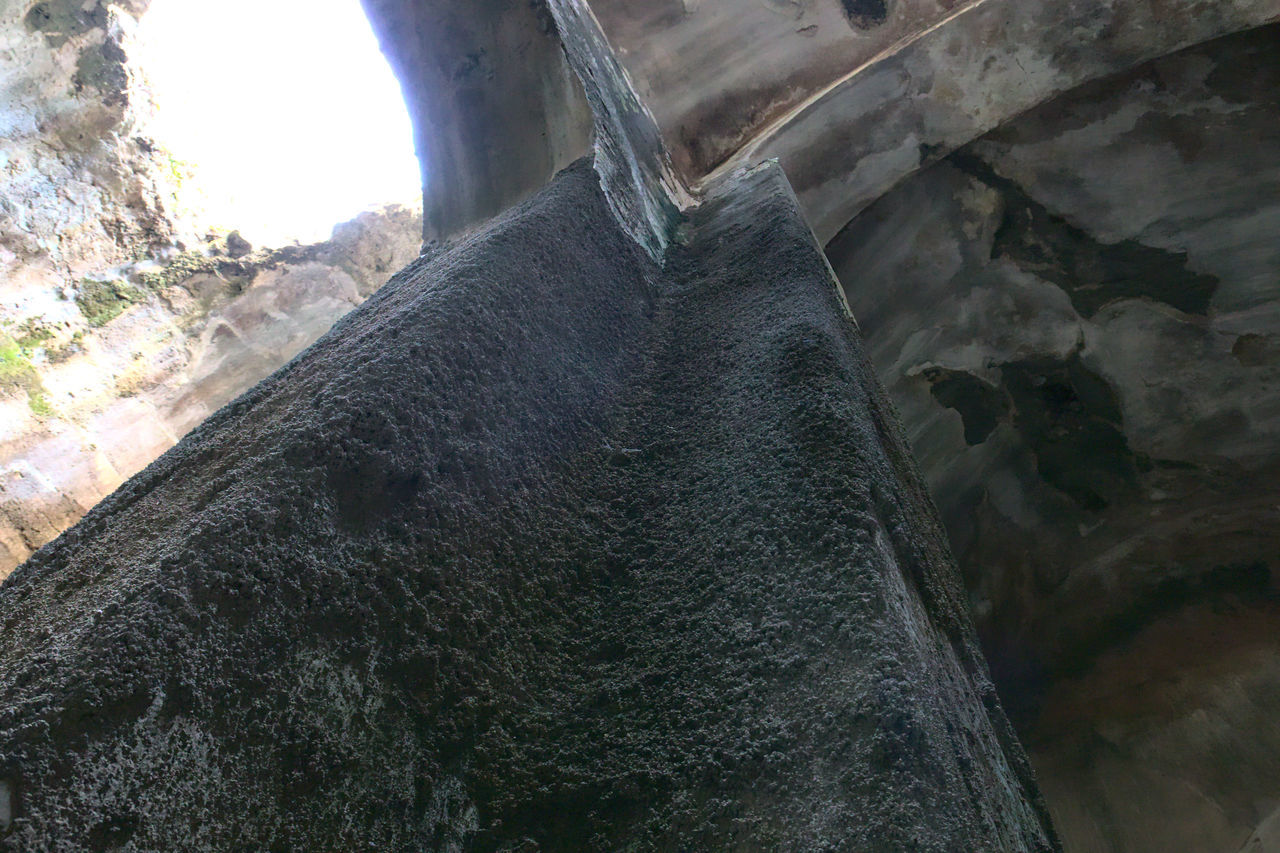 LOW ANGLE VIEW OF TREE TRUNK ROCK