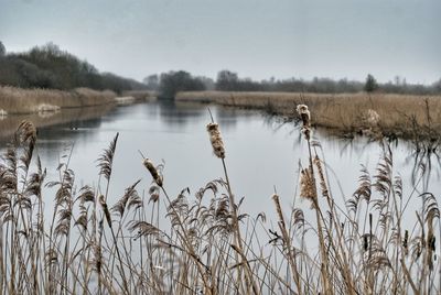 Scenic view of lake against sky