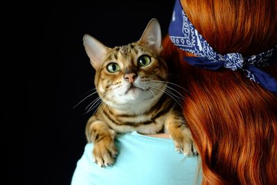 Close-up portrait of cat with eyes against black background