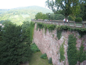 People hanging on tree against sky