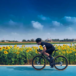 Man riding bicycle on yellow flowering plants against sky