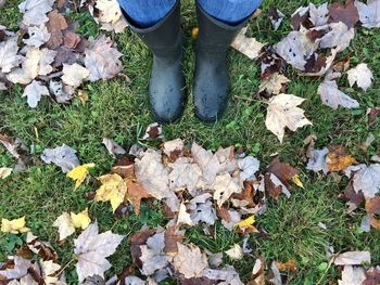 Low section of person standing by autumn leaves on field