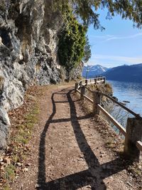 Shadow of tree on rock by sea against sky