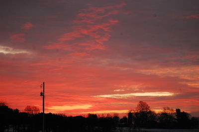 Low angle view of silhouette trees against orange sky