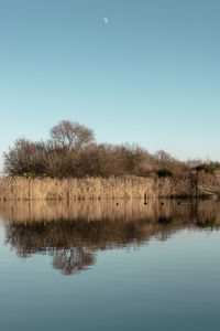 Scenic view of lake against clear blue sky