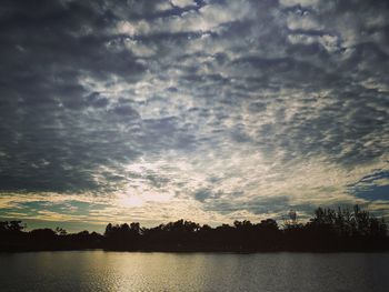 Silhouette of trees at sunset