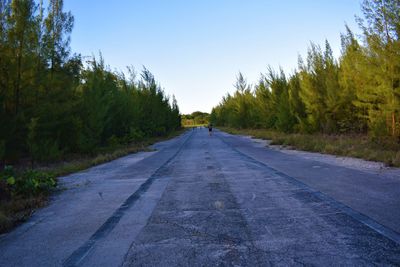 Empty road along trees and against sky