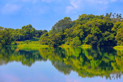 Mirror of clear sky over the lake.peaceful lakescape,scenic landscape view.and beautiful forest.