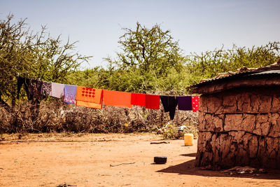 Clothes hanging on tree against sky