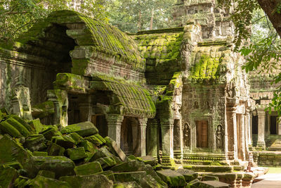 Moss-covered temple and fallen rocks in trees