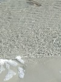 Close-up of swimming pool