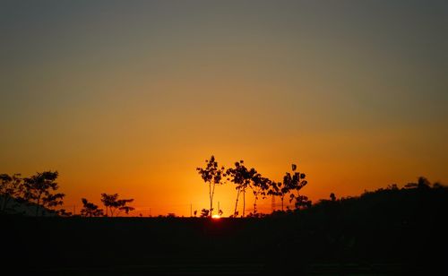 Silhouette palm trees against orange sky