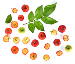 Directly above shot of orange fruit against white background