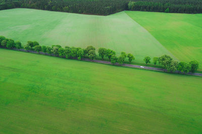 A car traveling down a country road lined with trees and surrounded by greend fields