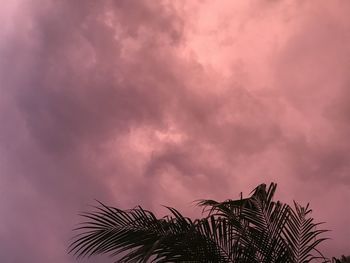 Low angle view of silhouette palm tree against sky