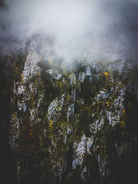 Scenic view of trees and rocks against sky