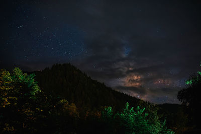 Low angle view of trees against sky at night